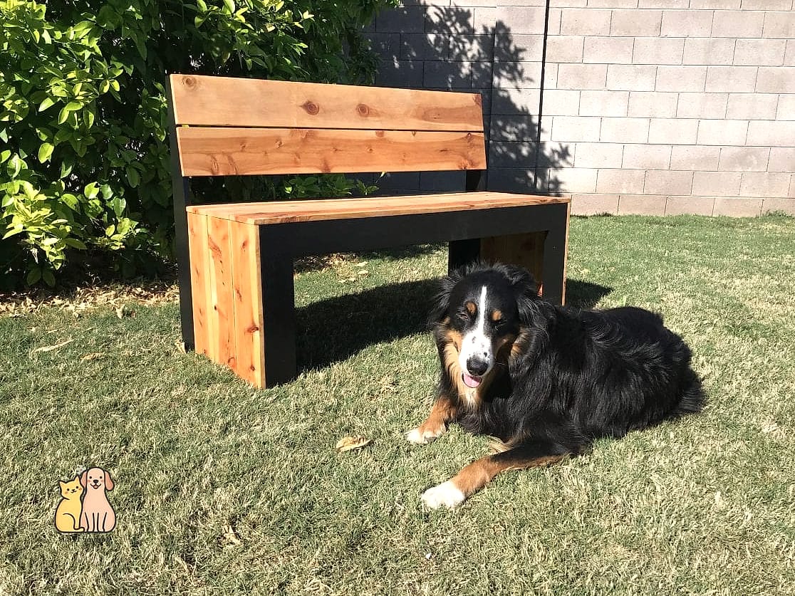 20 Brilliant Diy Dog Crates That Are Totally Worth It 3 The Built-In Bench Dog Crate