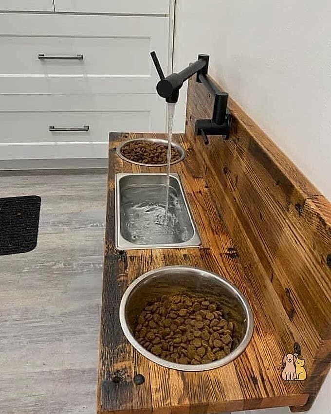 Built-In Kitchen Cabinet Feeding Station