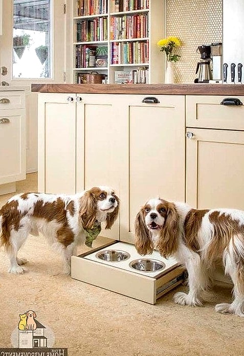 Built-In Kitchen Cabinet Feeding Station