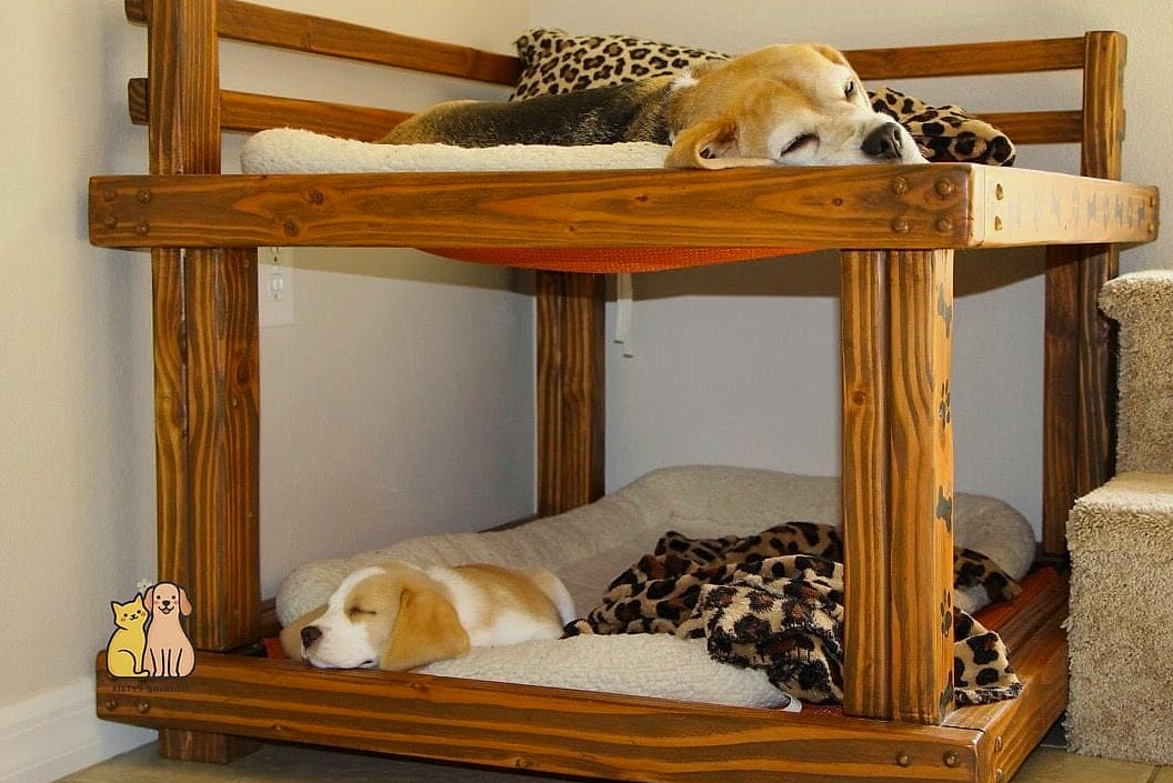 The Bunk Bed Style Double Crate