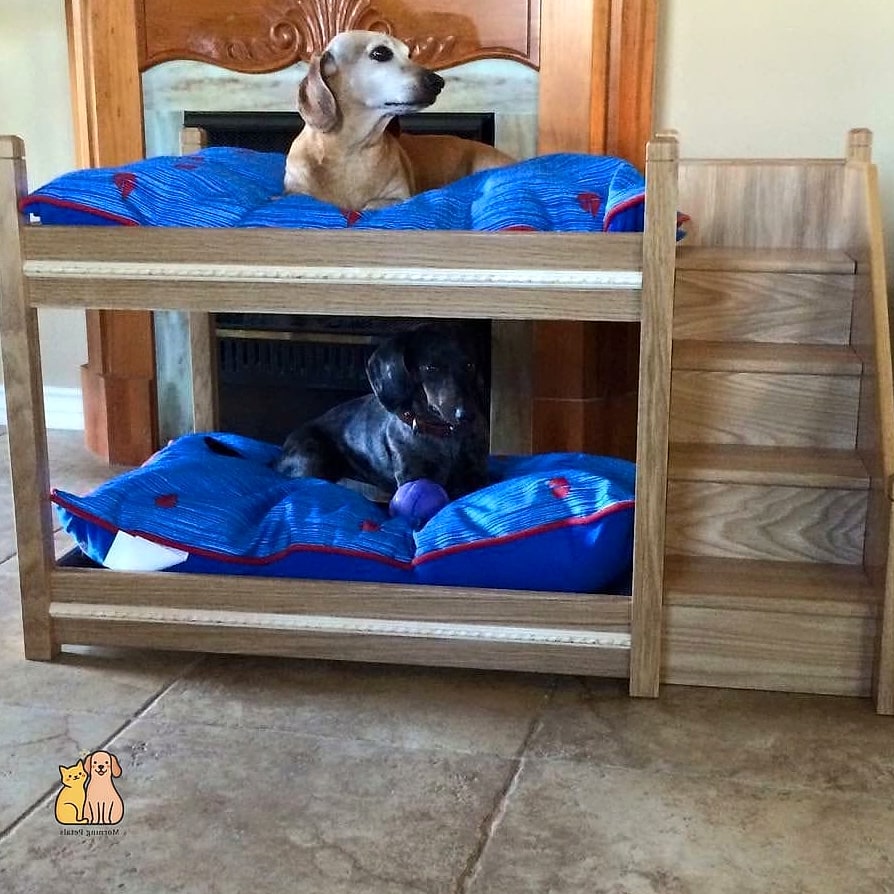 The Bunk Bed Underneath Nook
