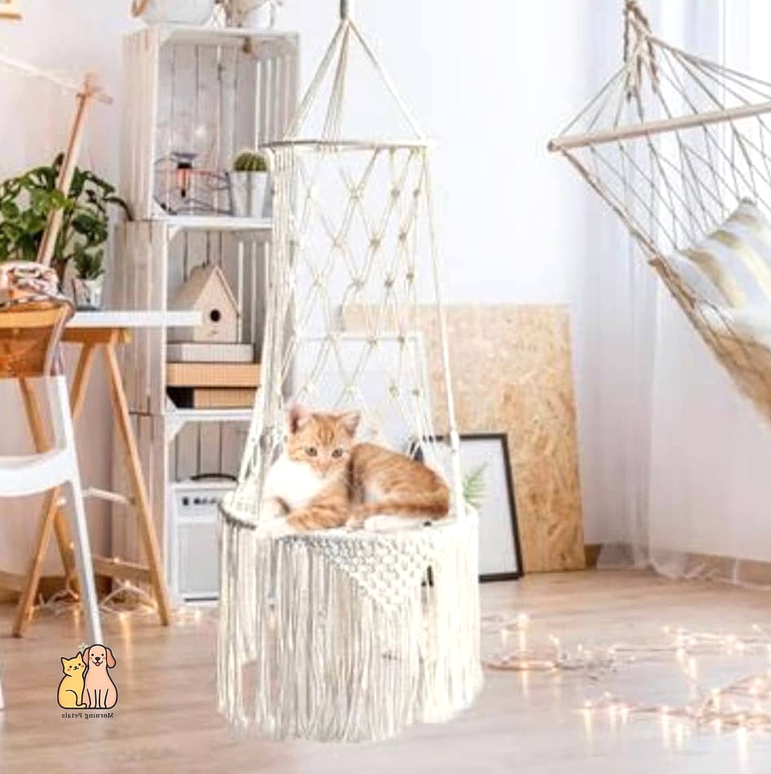 Bunk Bed Style Double Hammock