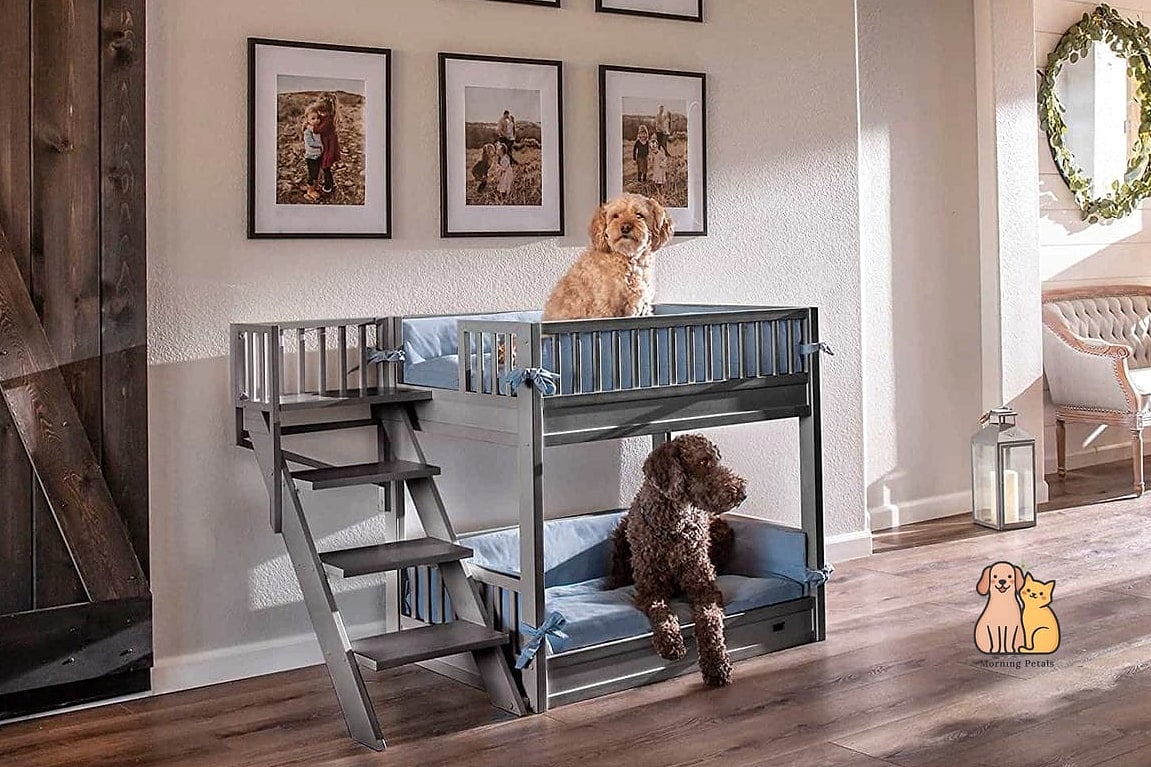 The Bunk Bed Bonus Space