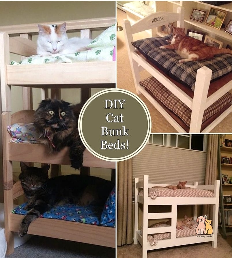 The Bunk Bed Cat Sofa