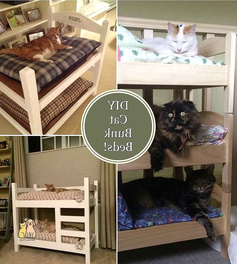 Bunk Bed Style Double Hammock