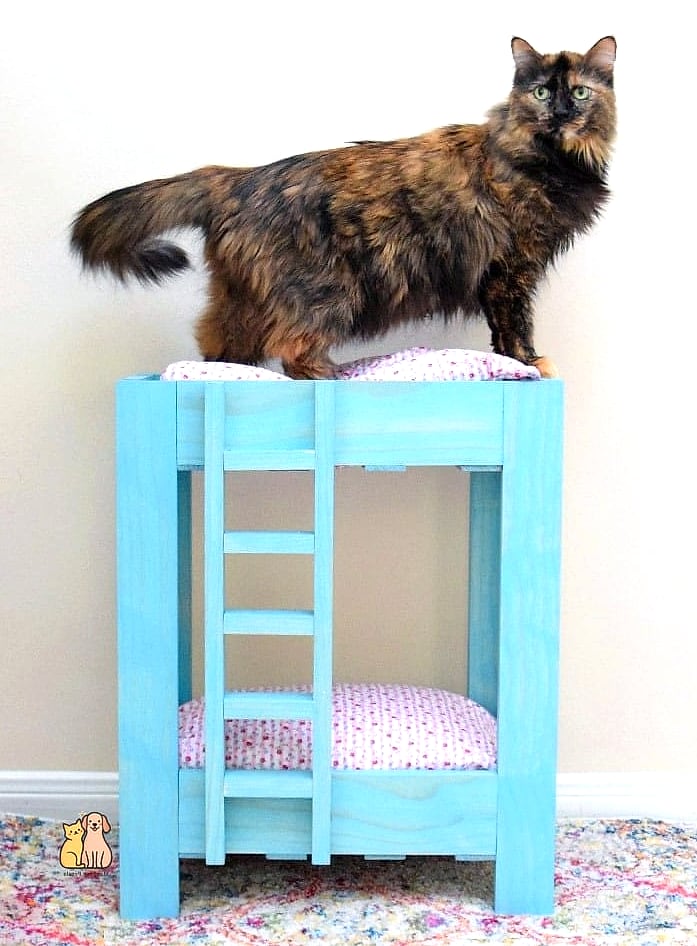 The Bunk Bed Balcony Box