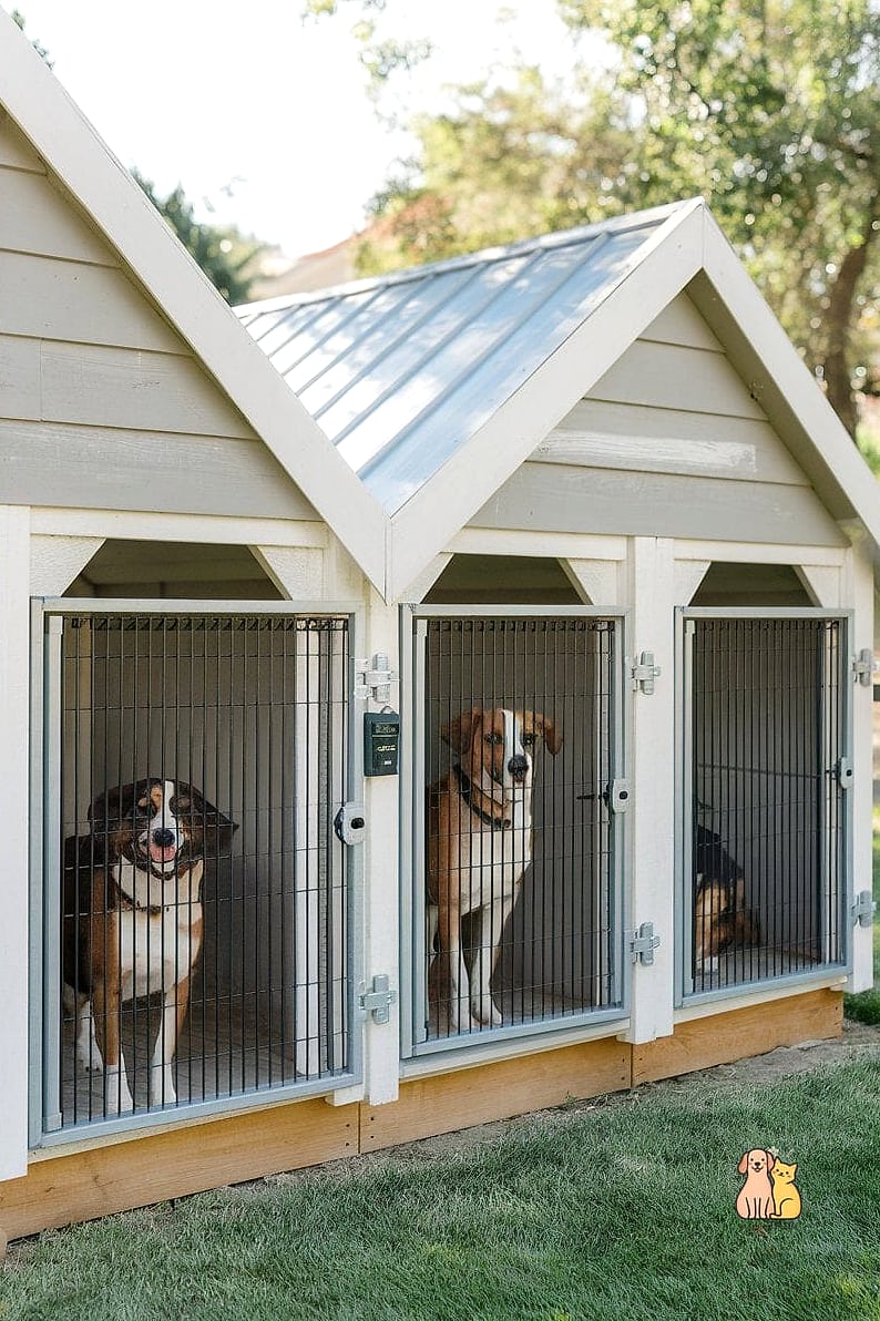The Bunkhouse for Multiple Dogs