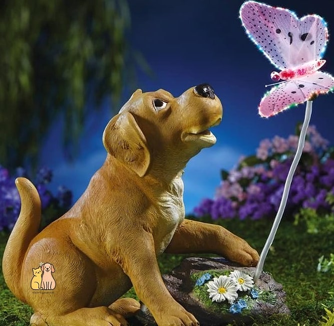 21 Adorable Retractable Dog Leashes That Will Make Your Day 20 The Butterfly Garden Retractable Leash