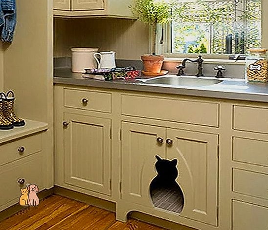 45 Budget-friendly Cat Eating Station Ideas Worth Pinning Immediately 5 The Cabinet Cutout Station