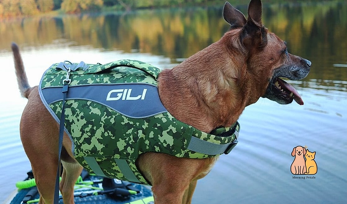 The Camouflage Duck Hunting Vest