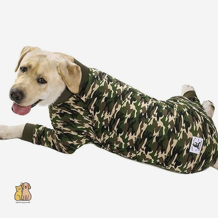 18 Adorable Pet Pajamas Guaranteed to Make You Smile 18 Camouflage Print Fleece Pajamas