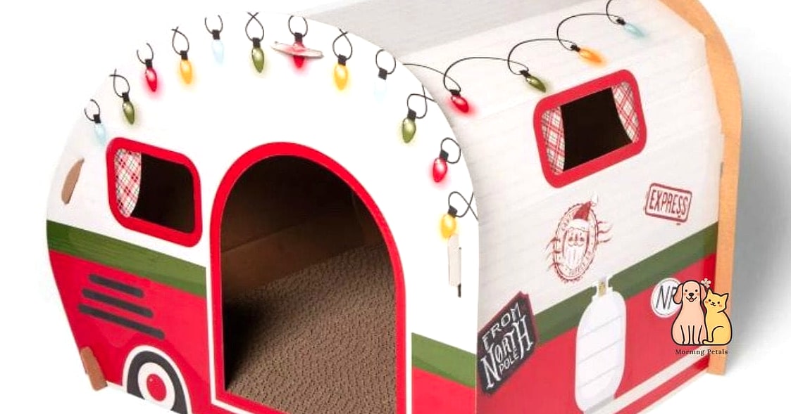 The Camper Van Scratcher