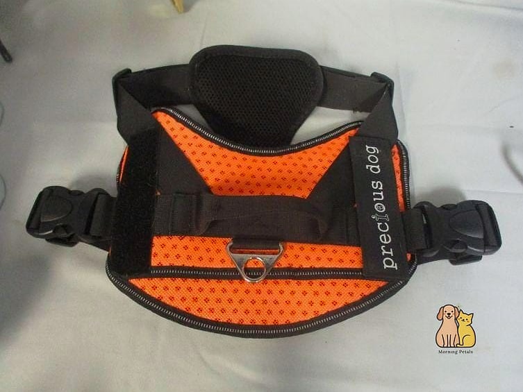 The Camping Trail Adventure Harness