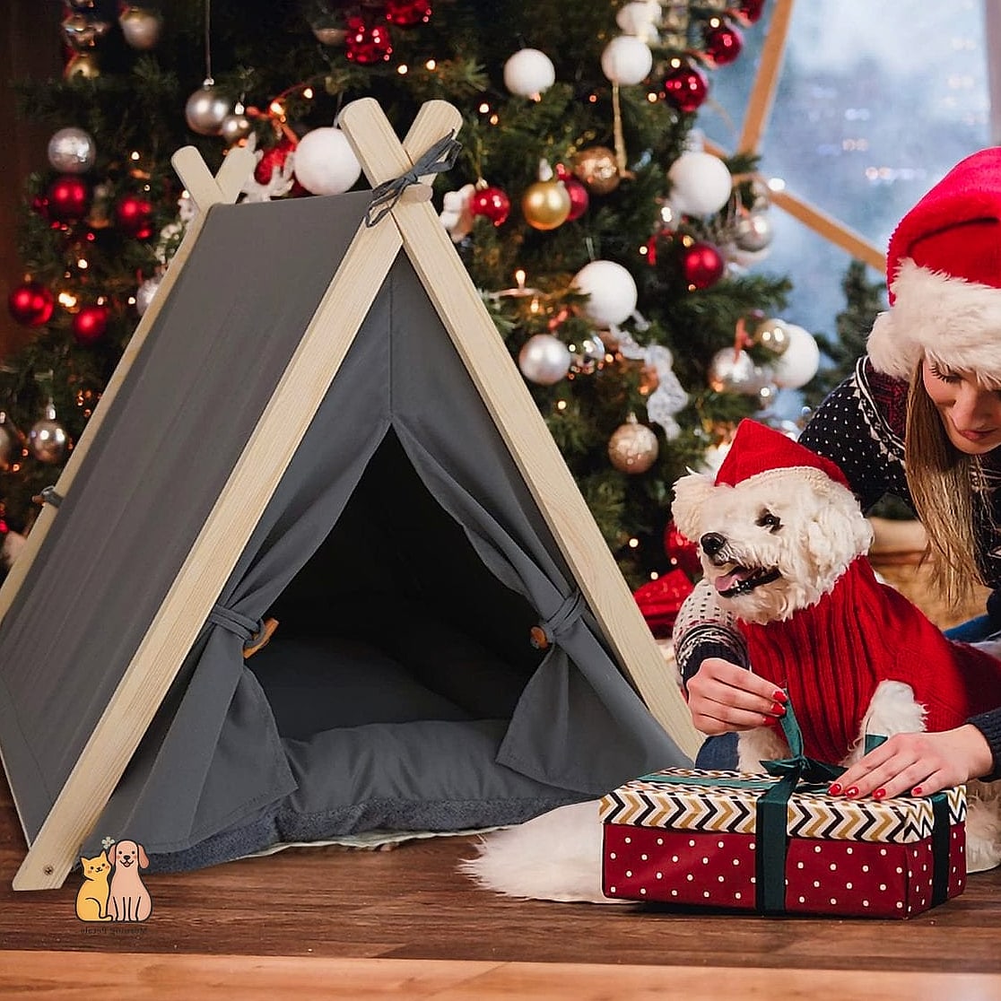 The Canvas Teepee Dog Tent