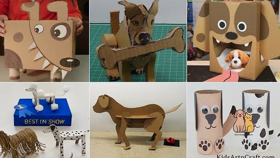 The Cardboard Box Hide-and-Seek Toy