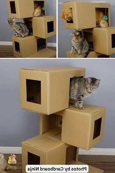 The Cardboard Box Skyscraper
