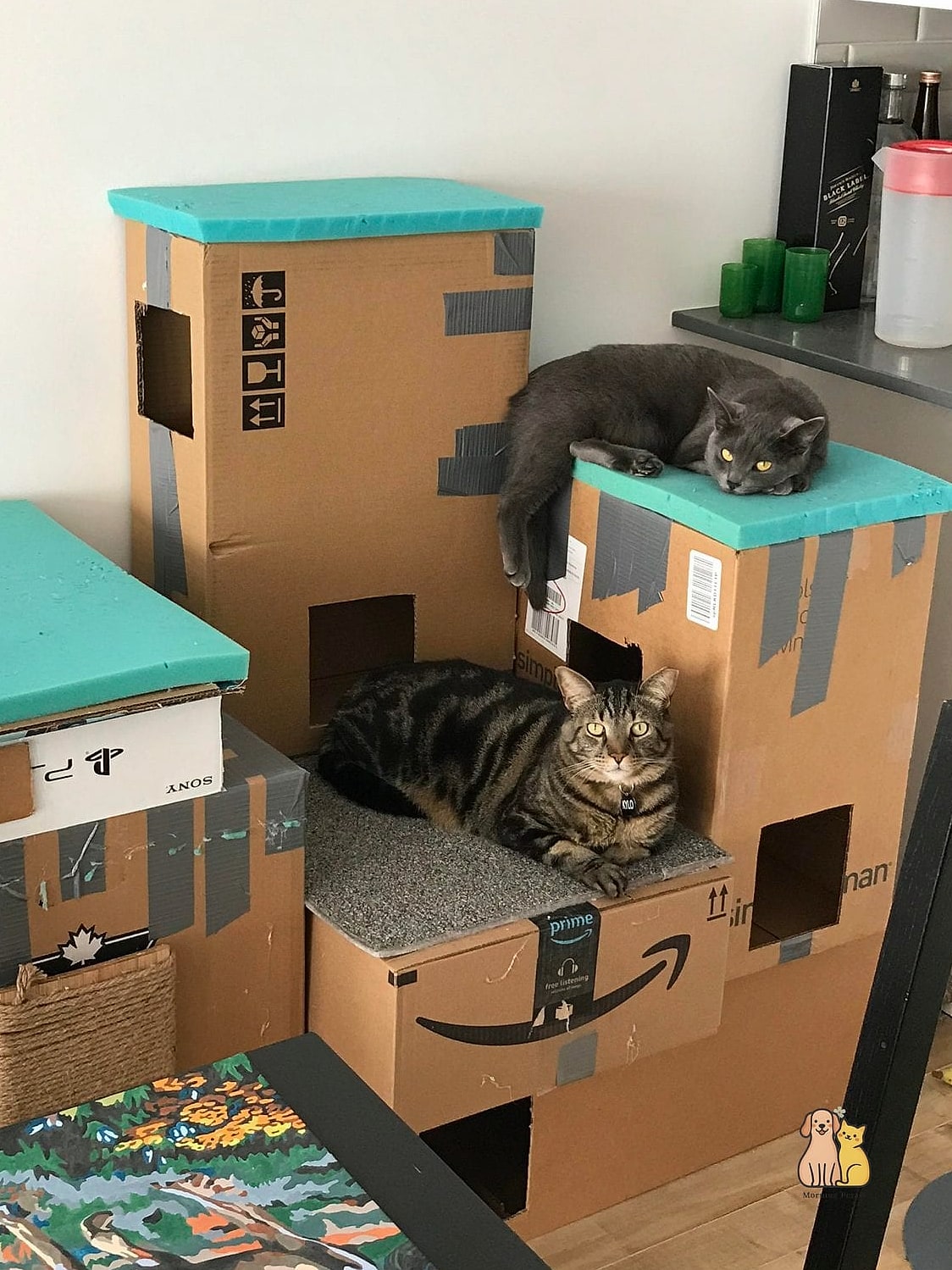 The Cardboard Box Sofa Bed