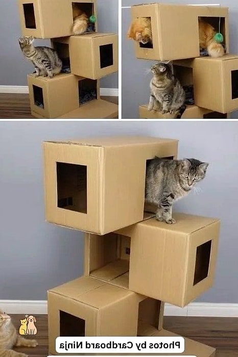 20 Brilliant Diy Cat Cave That Are Totally Worth It 4 Cardboard Box Fort Cave