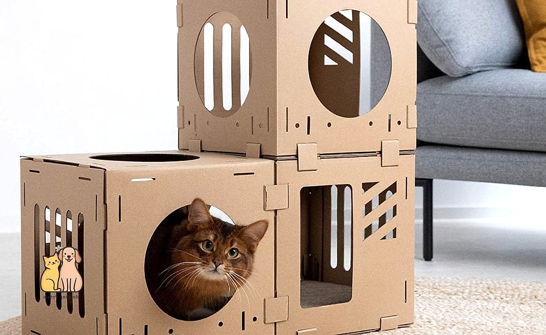 The Cardboard Box Skyscraper