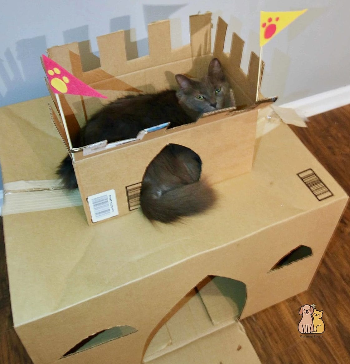 The Cardboard Castle Scratcher