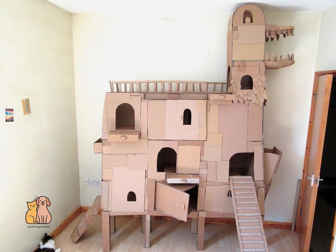 The Cardboard Castle Tower