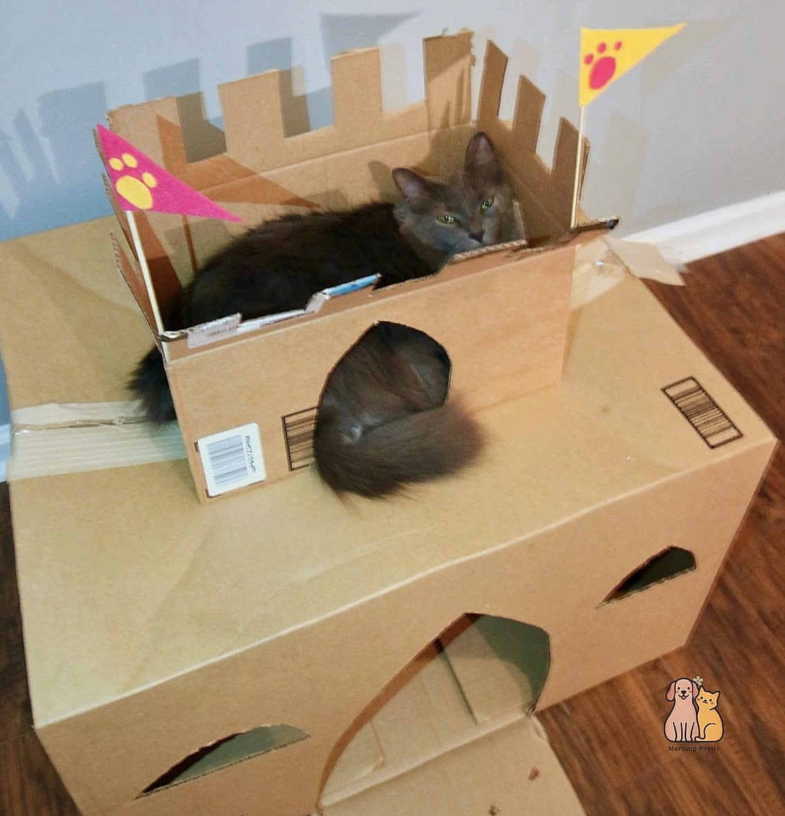 The Cardboard Castle