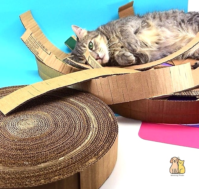 30 Creative Diy Cat Scratchers That Will Inspire You 12 Cardboard Cat Scratch Ball