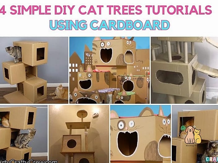 The Cardboard Cat Condo