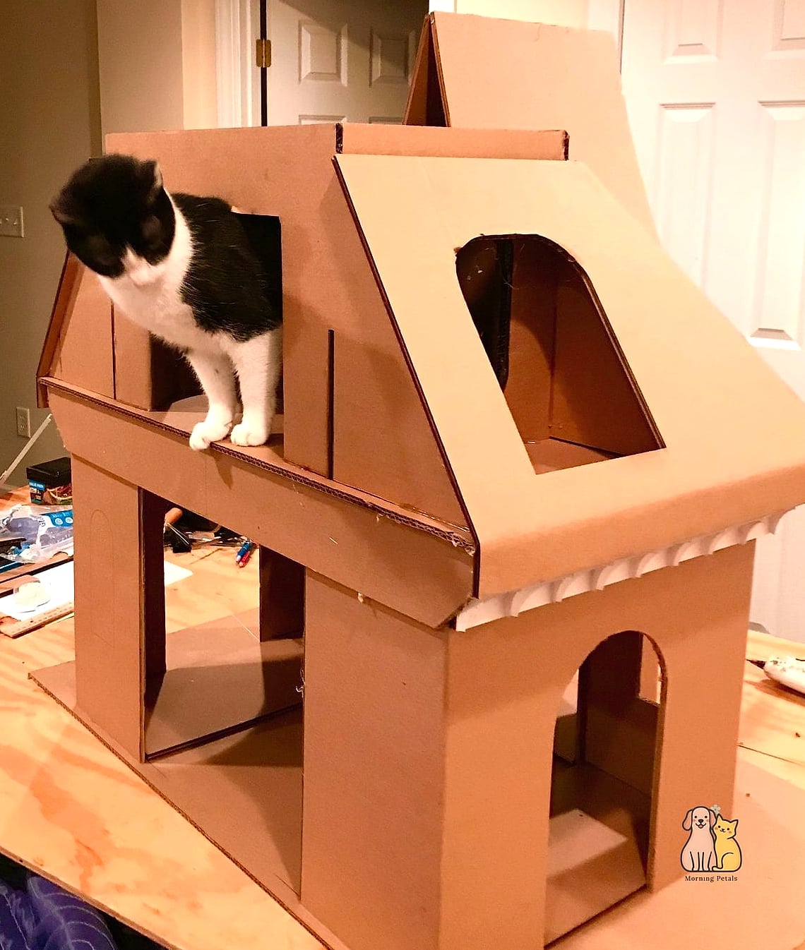 The Cardboard Cottage With a Peaked Roof