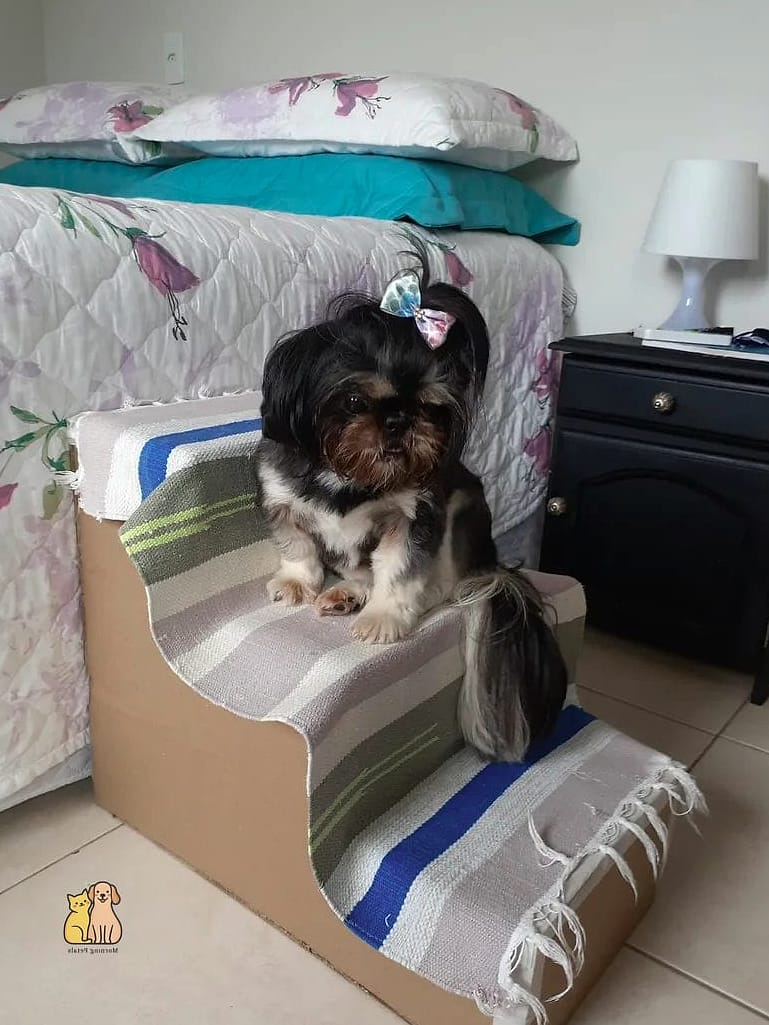 The Cardboard DIY Puppy Stairs