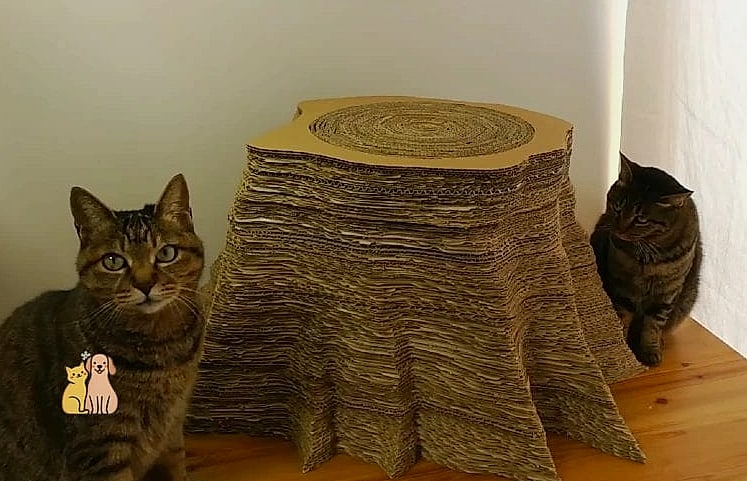 35 Precious Cool Cat Trees That Prove Pets Are the Best 13 The Cardboard Eco-Friendly Tree