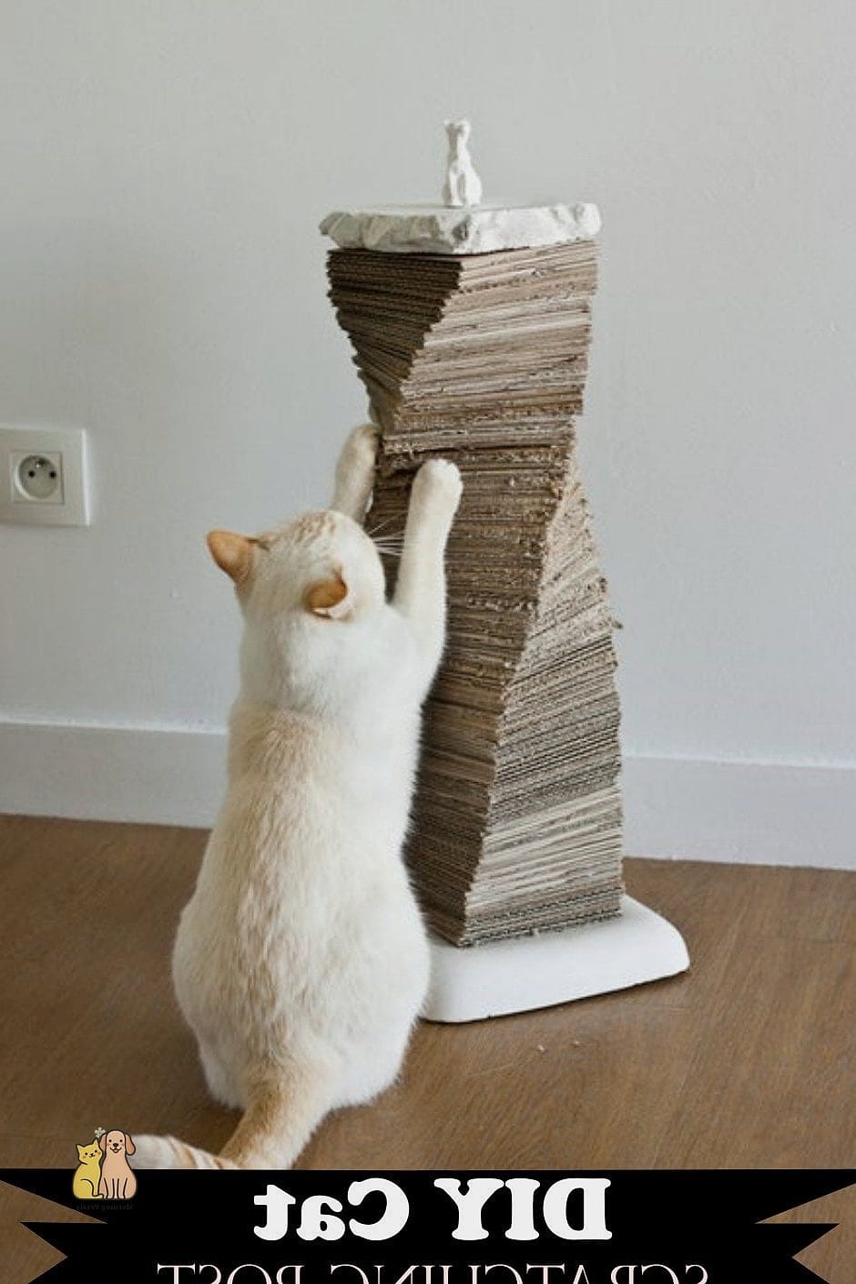Cardboard Scratcher Lounge