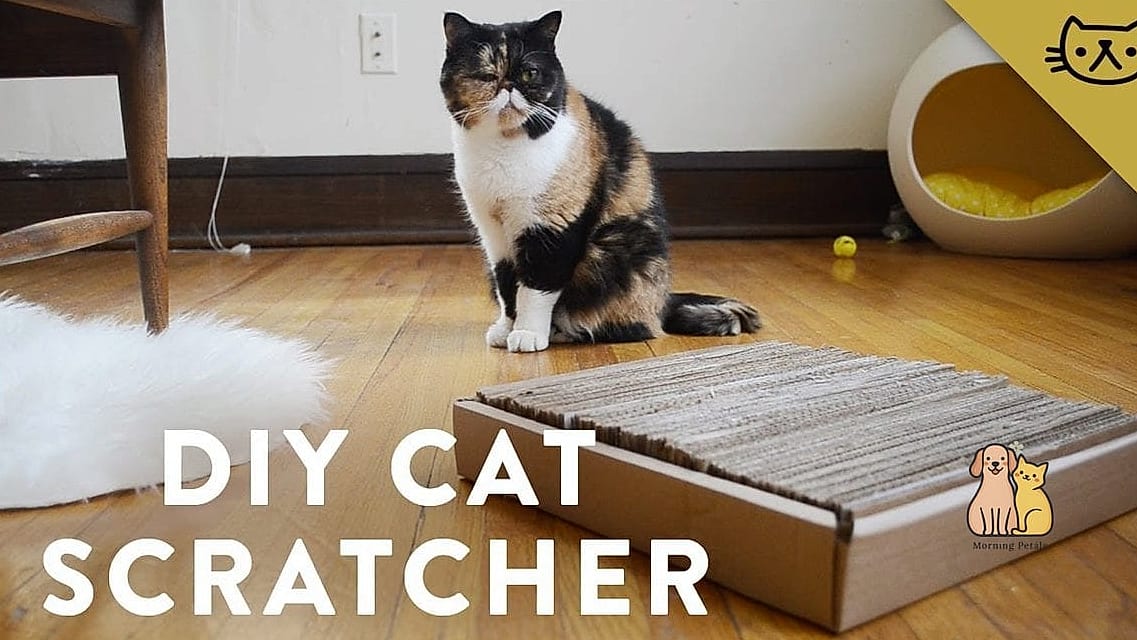 45 Easy Diy Cat Toys to Try Right Now 34 Cardboard Scratcher Disc