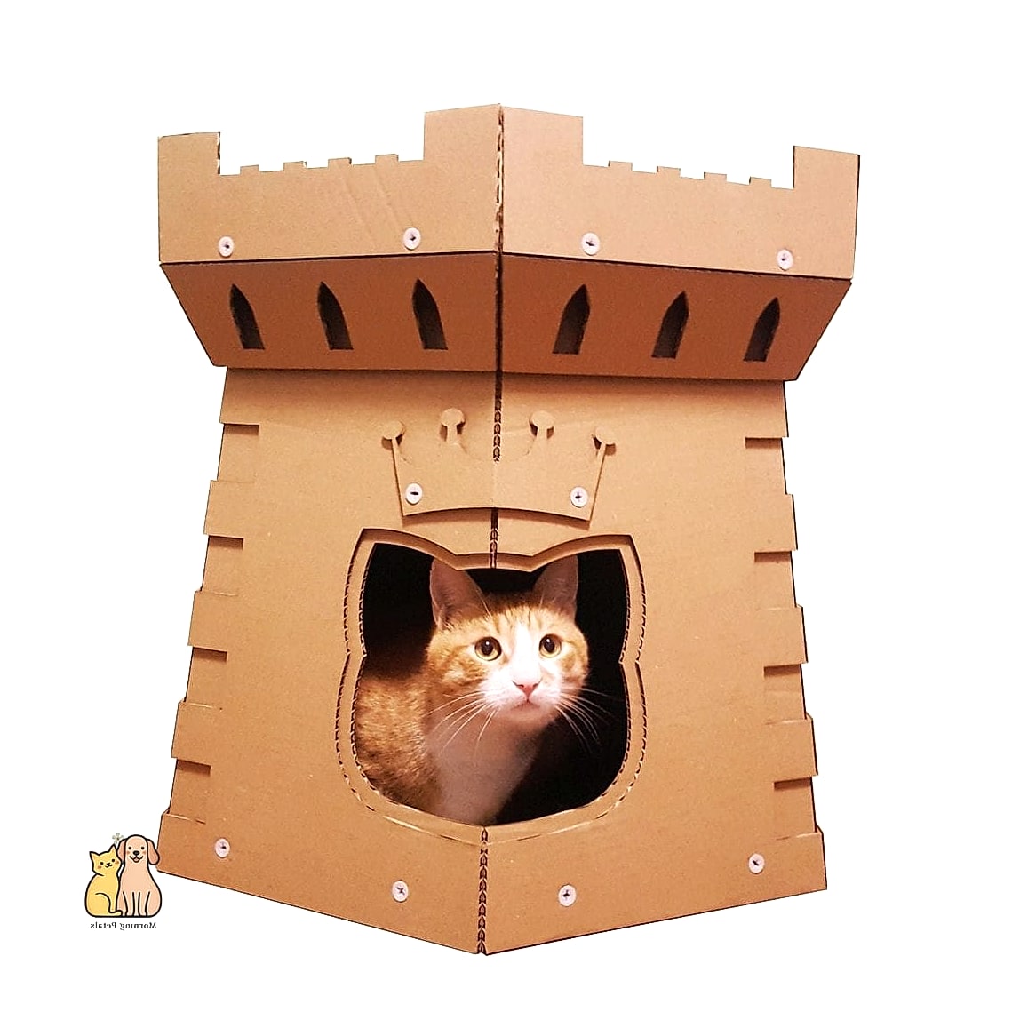 20 Clever Outdoor Cat House Ideas on a Budget 16 Cardboard and Trash Bag Waterproofing Method