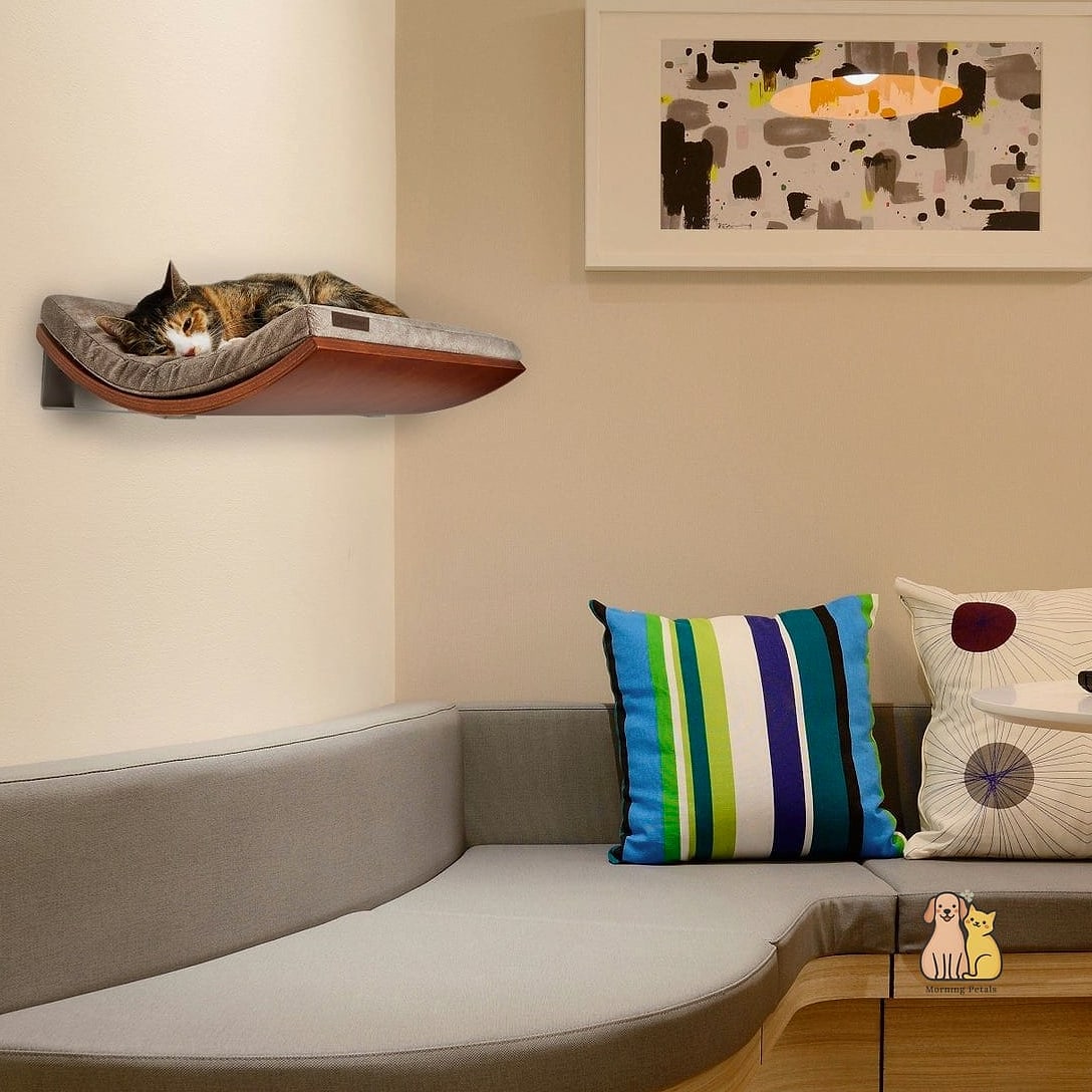 Carpeted Perch Shelf
