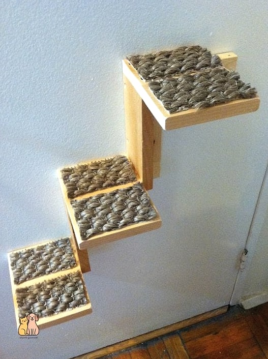 The Carpeted Step Shelf