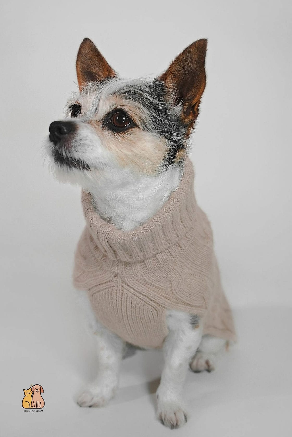 The Cashmere-Blend Turtleneck