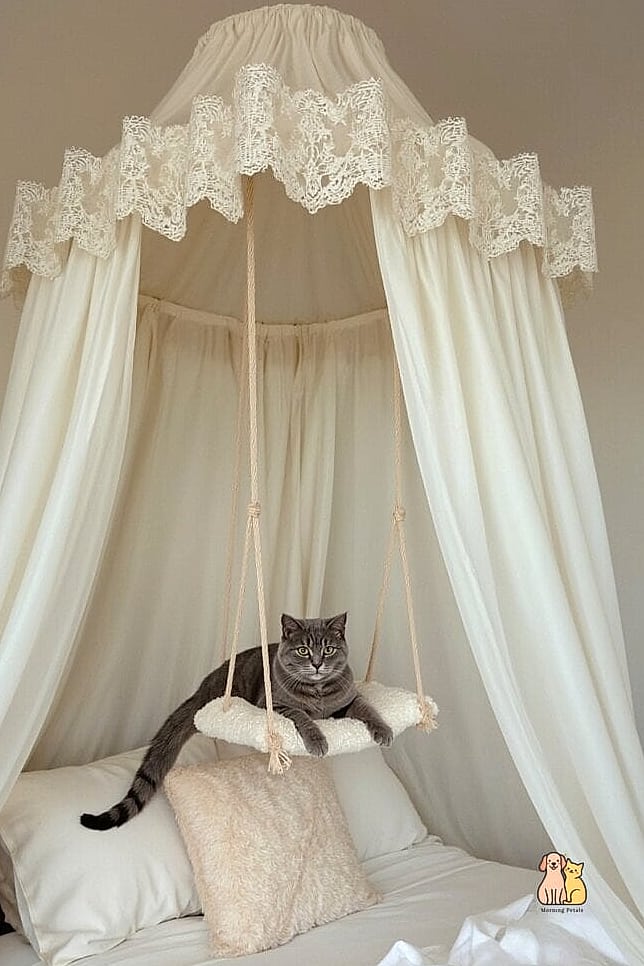 The Cat Bed with Canopy