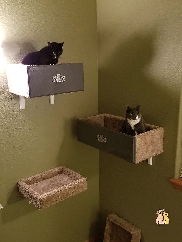The Cat Bed Nightstand