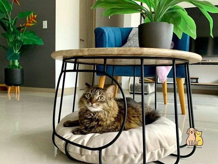 The Cat Bed Coffee Table Nook