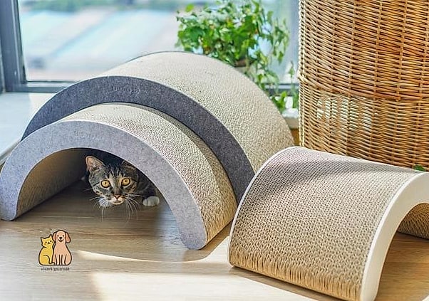 The Cat Cave with Built-In Scratch Pad