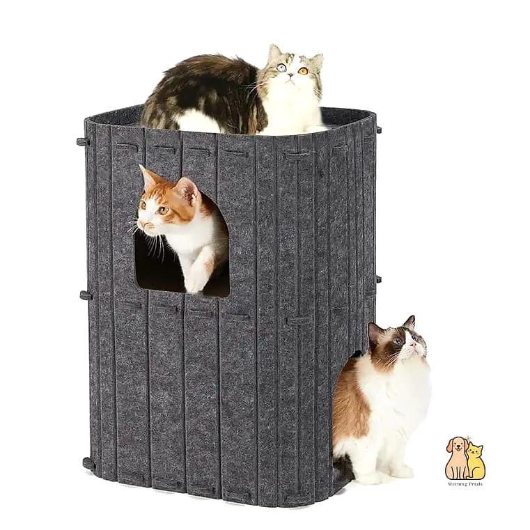 The Cat Cave Made From a Recycled Tire
