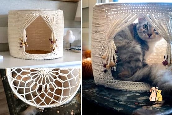The Cat Cave with a Window Cutout