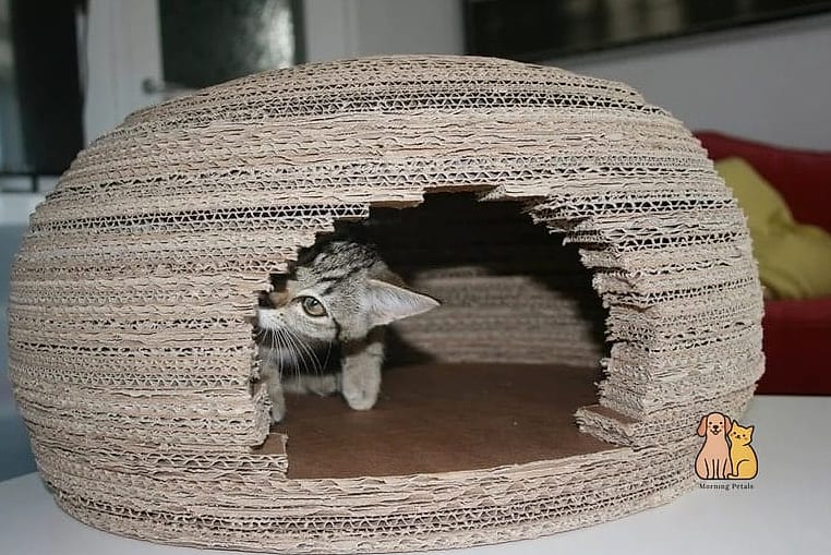 45 Easy Diy Cat Condo to Try Right Now 20 The Cat Cave Condo