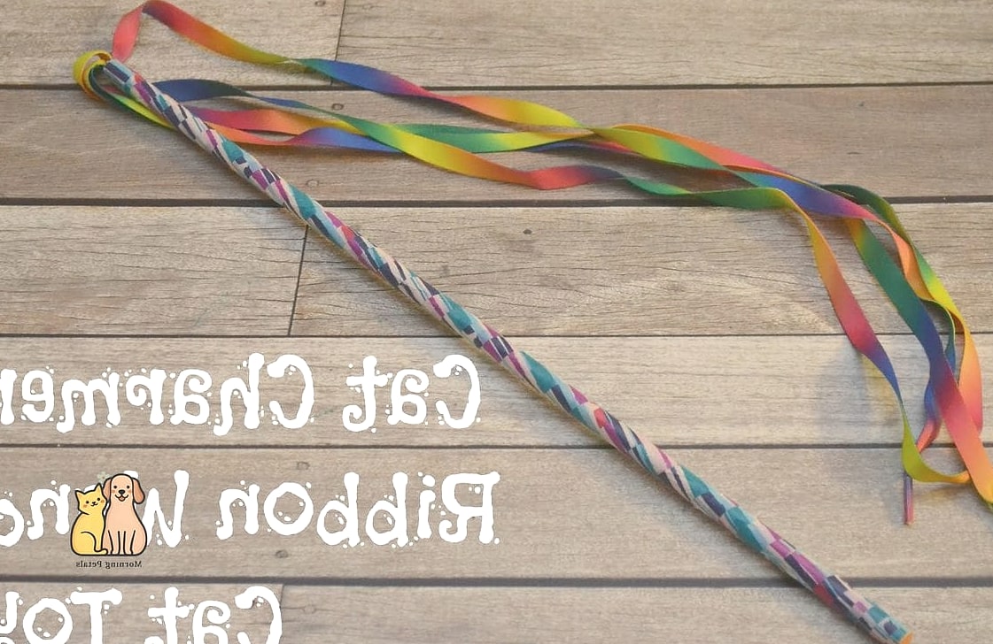 45 Easy Diy Cat Toys to Try Right Now 21 Cat Charmer Ribbon Wand