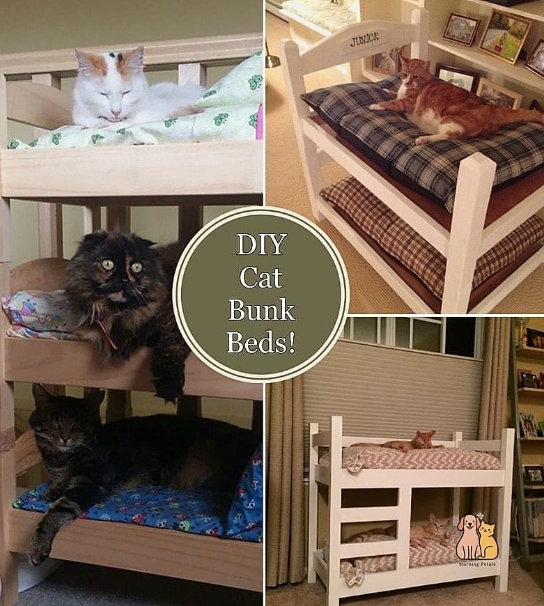 45 Easy Diy Cat Condo to Try Right Now 17 The Cat Condo Bunk Bed