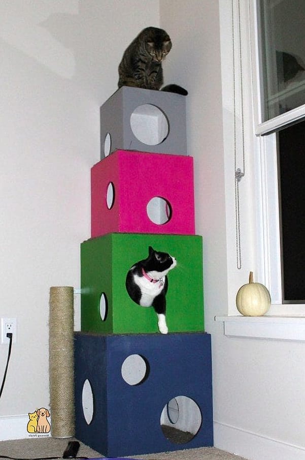 45 Easy Diy Cat Condo to Try Right Now 39 The Cat Condo Room Divider