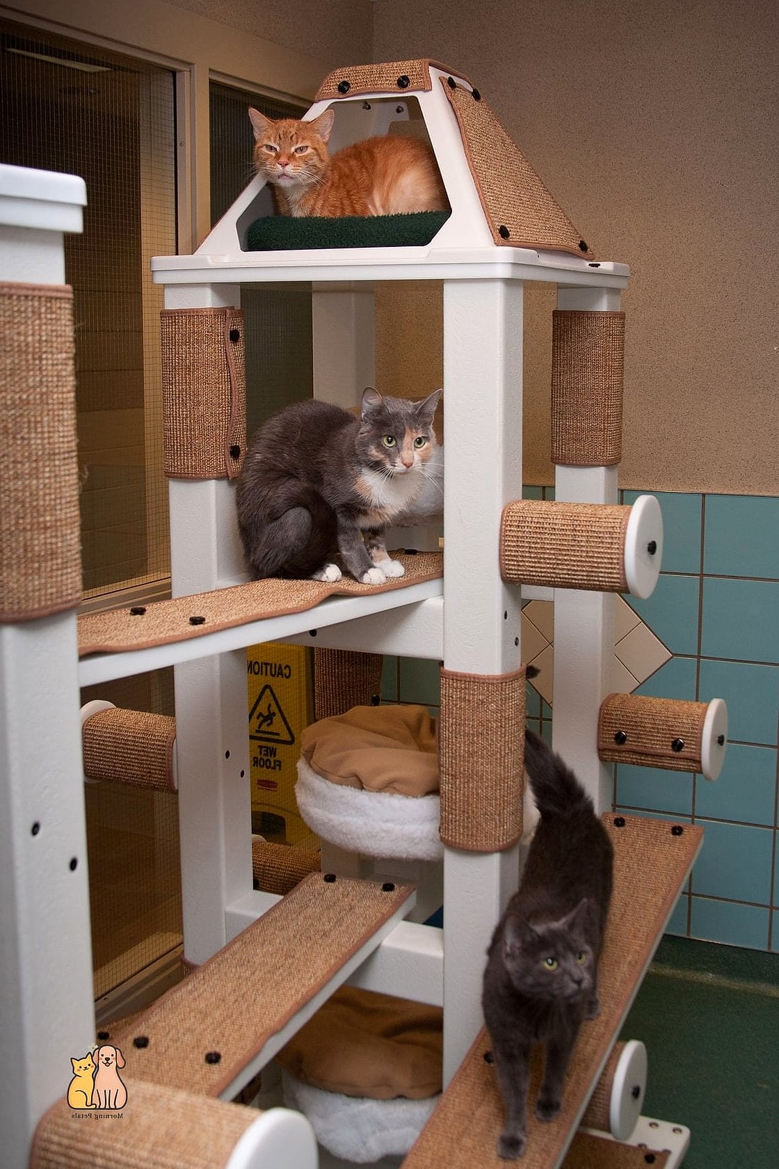 45 Easy Diy Cat Condo to Try Right Now 42 The Cat Condo Aquarium Stand