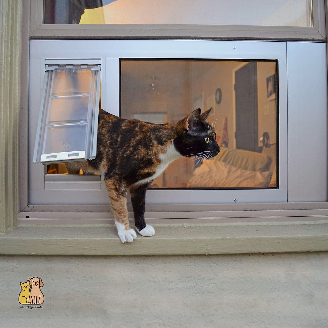 Cat Door with Built-In Night Light