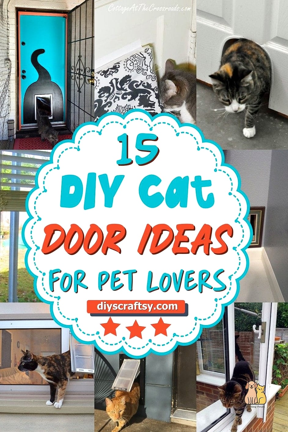 Cat Door into a Sunroom